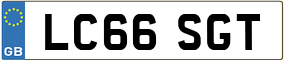 Truck License Plate